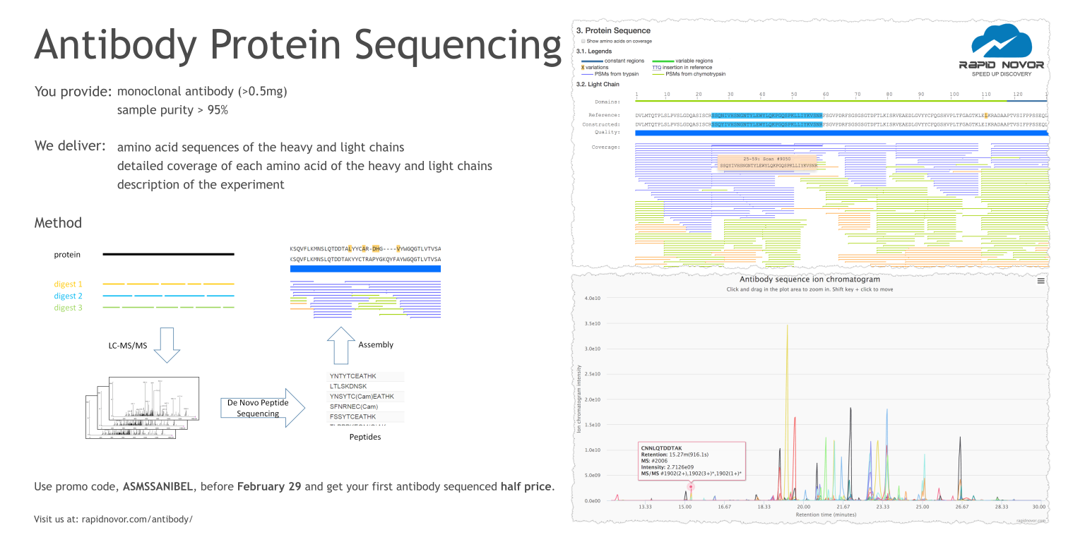 antibody protein sequencing service rapid novor