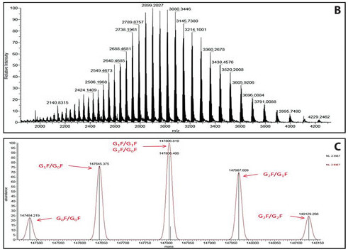 Intact Mass spectrometry rapid novor antibody protein sequencing service