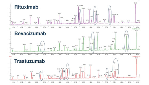 Peptide Mapping on LC rapid novor antibody protein sequencing service