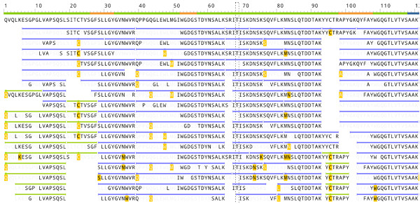 Rapid Novor de novo antibody sequencing