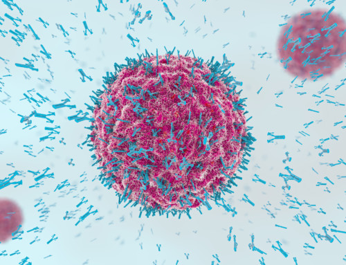 Why Antibody Characterization Needs an Overhaul