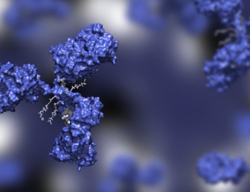 Antibody-Drug Conjugates as Anti-Cancer Therapeutics