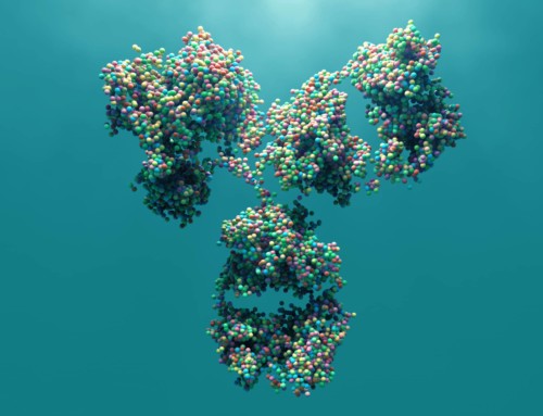 Cell Specific Protein Degradation with Antibody Conjugated PROTACs