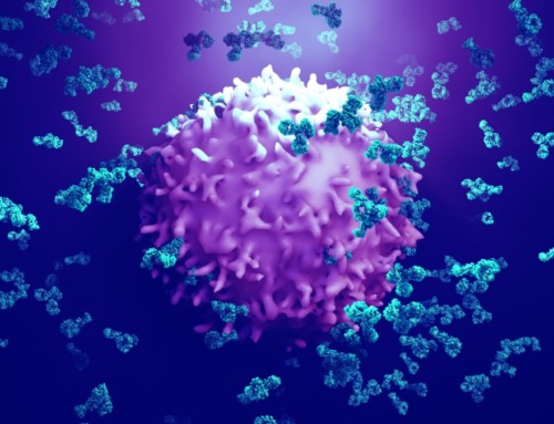 Technologies for Antibody Discovery and Generation