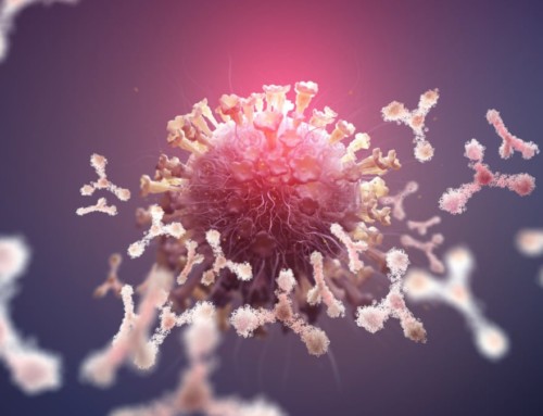 Species-Agnostic Antibody Sequencing & Discovery in Veterinary Medicine R&D