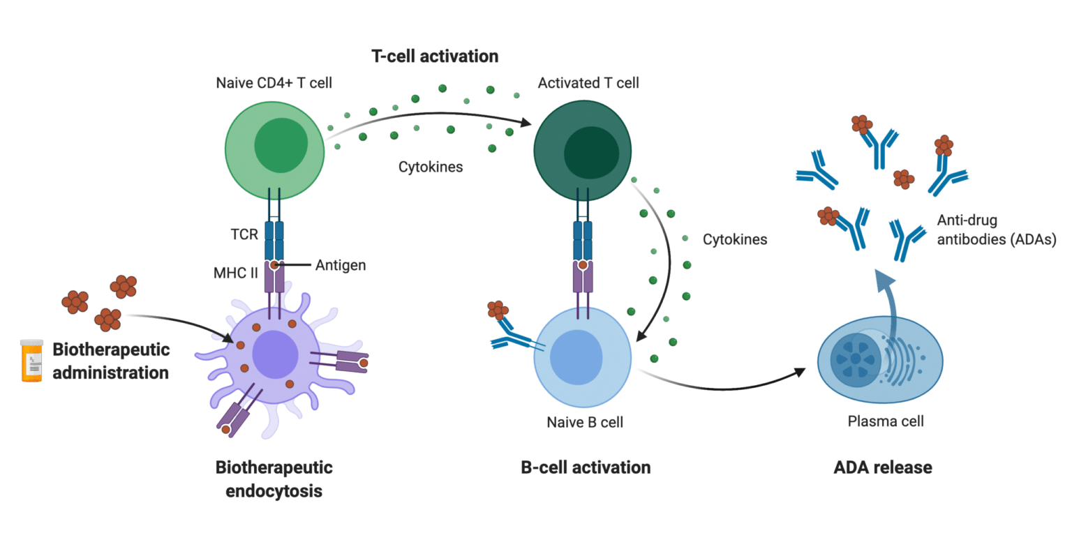 Anti-Drug Antibody Assays with Next Generation Protein Sequencing