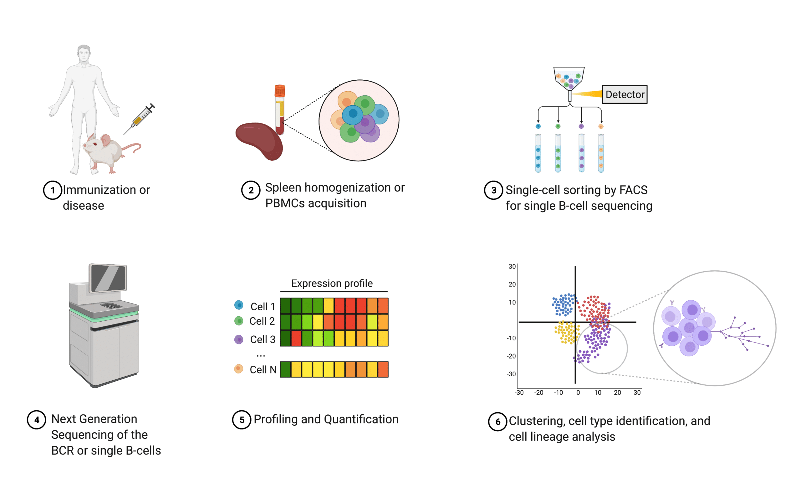 Protein Sequencing with Artificial Intelligence: Machine Learning