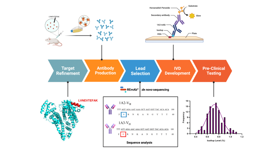 Isoasp First Immunoassay for Measuring Isoaspartate in Human Serum Albumin