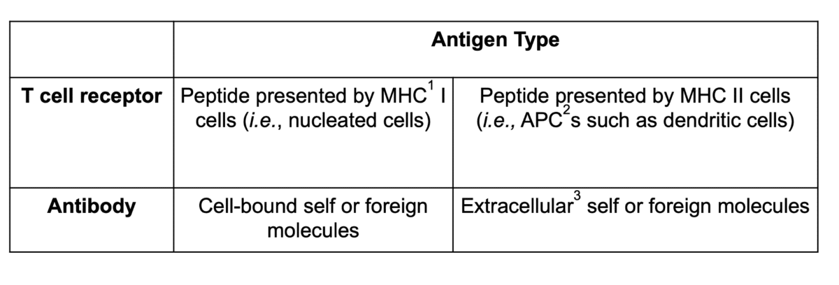 Identifying CDRs by Antibody Sequencing - Rapid Novor