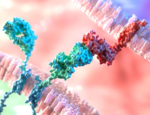 Enriching Engineered T Cells with Antibody Sequencing & Modulation
