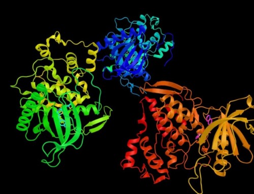 Protein Structure and How to Study it