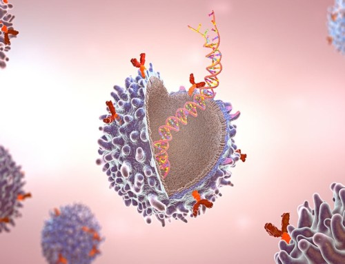 Chimeric Antigen Receptors and T cells – CAR-T