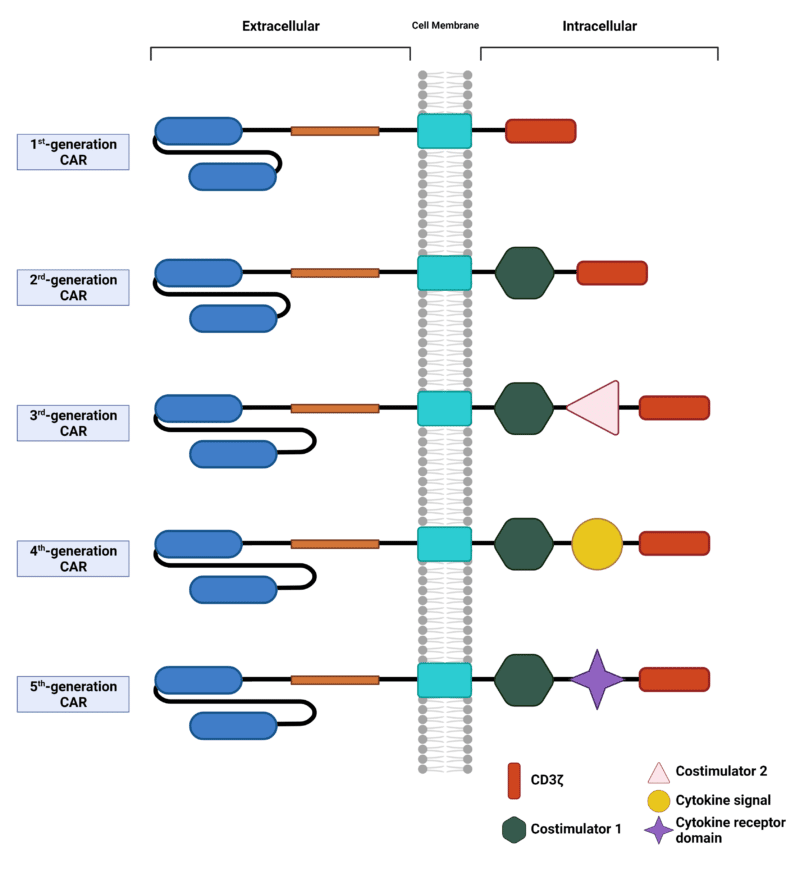 Diagram of five generations of chimeric antigen receptors.