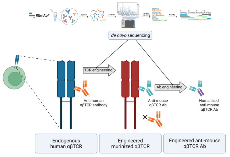 T cell receptors and antibodies undergoing engineering guided by de novo sequencing of antibodies.