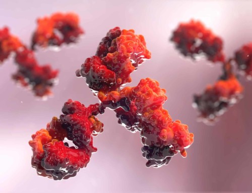 What are Polyclonal Antibodies?