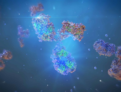 Rational Antibody Design and Engineering with Next Generation Protein Sequencing