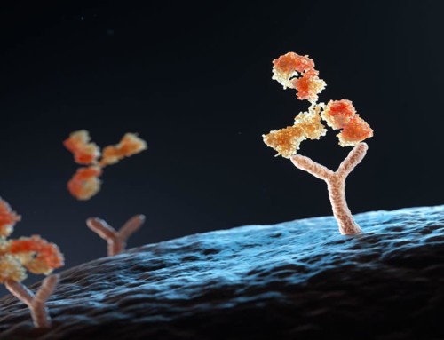 Characterizing Biomolecular Interactions with Surface Plasmon Resonance