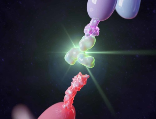 Selecting Specific Monoclonal Antibodies by SPR – Alpaca Antibody Showdown