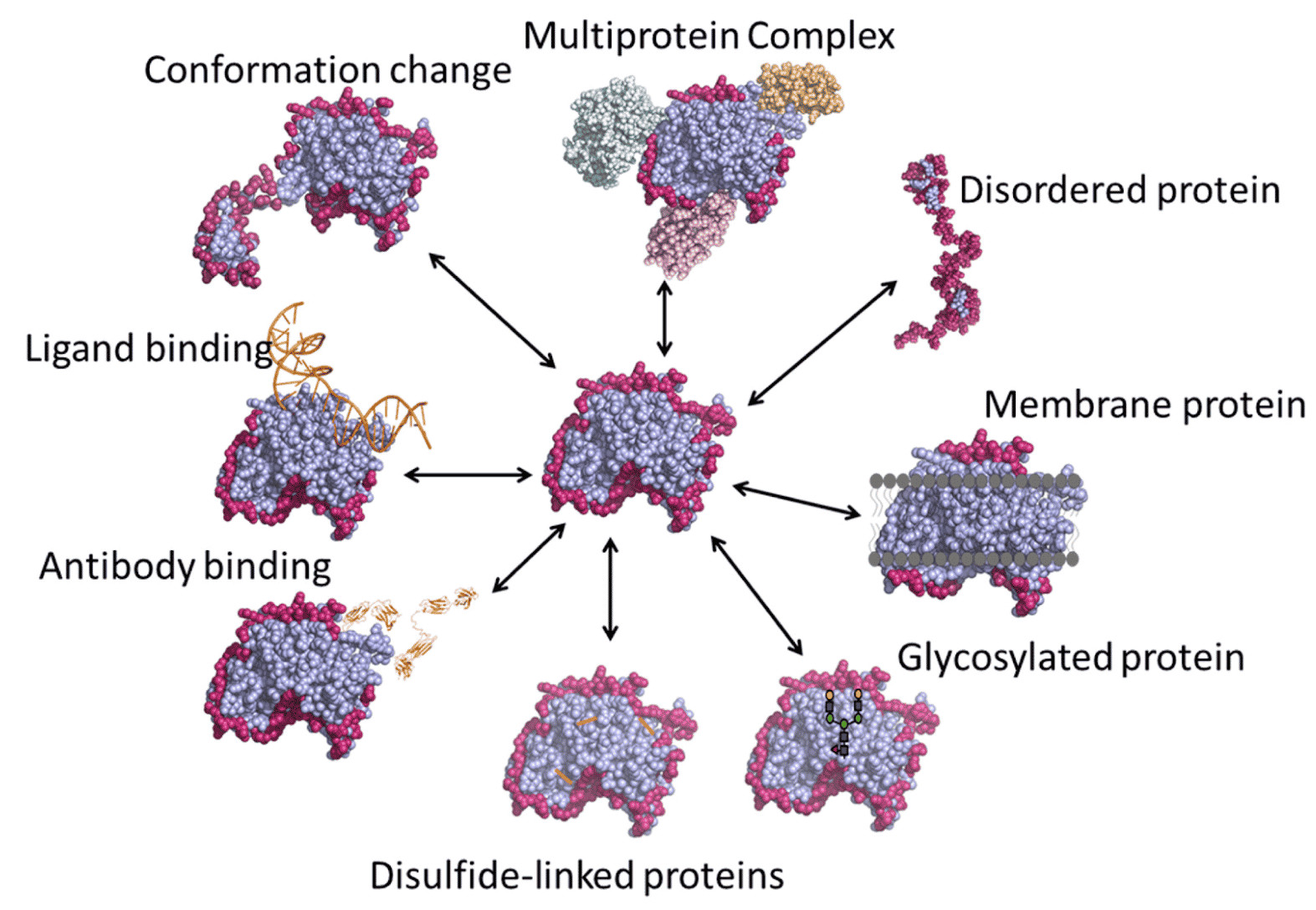 hdx ms epitope mapping applications