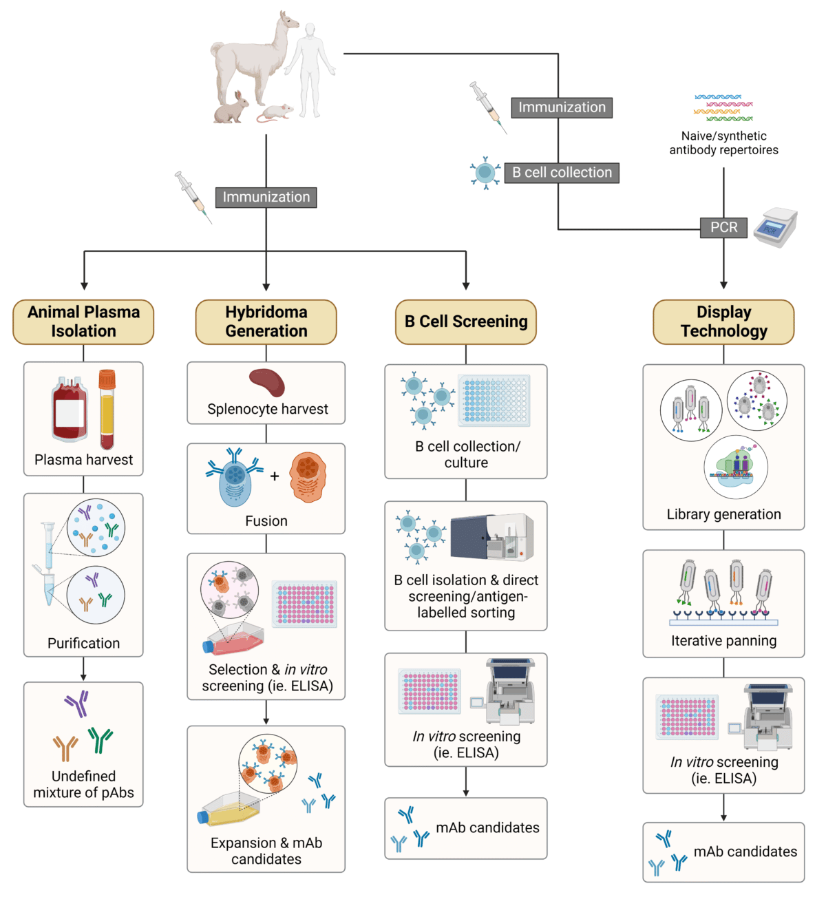 technologies-for-antibody-discovery-and-generation-2023-report