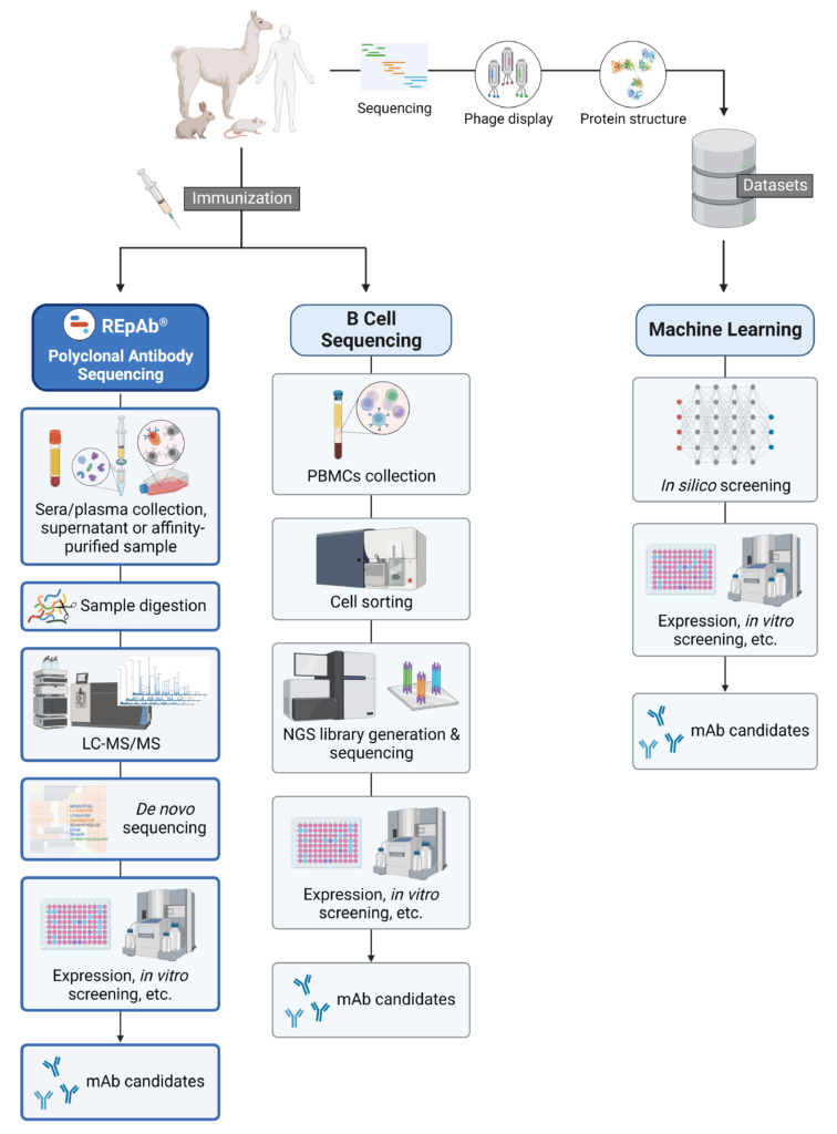 Antibody Discovery Platforms