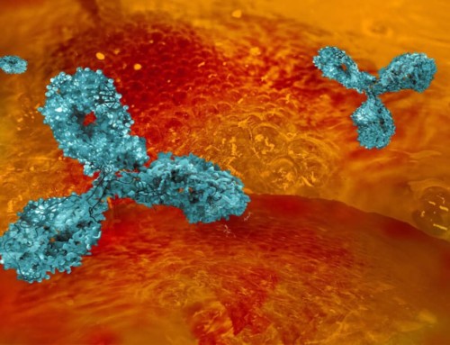 The Hunt for Novel Therapeutics Through Antibody Engineering
