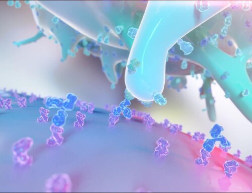 Functional Characterization of Therapeutic Antibodies
