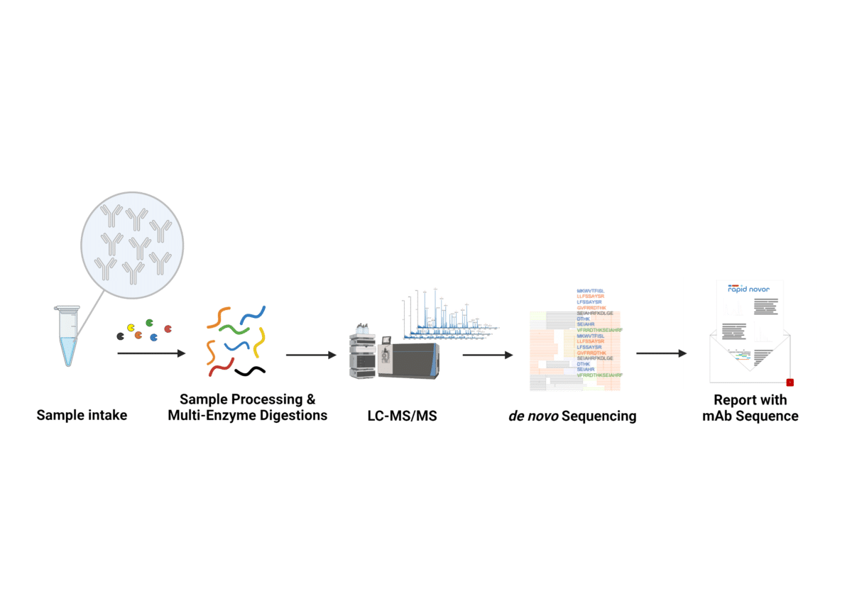 monoclonal antibody sequencing workflow through de novo protein sequencing