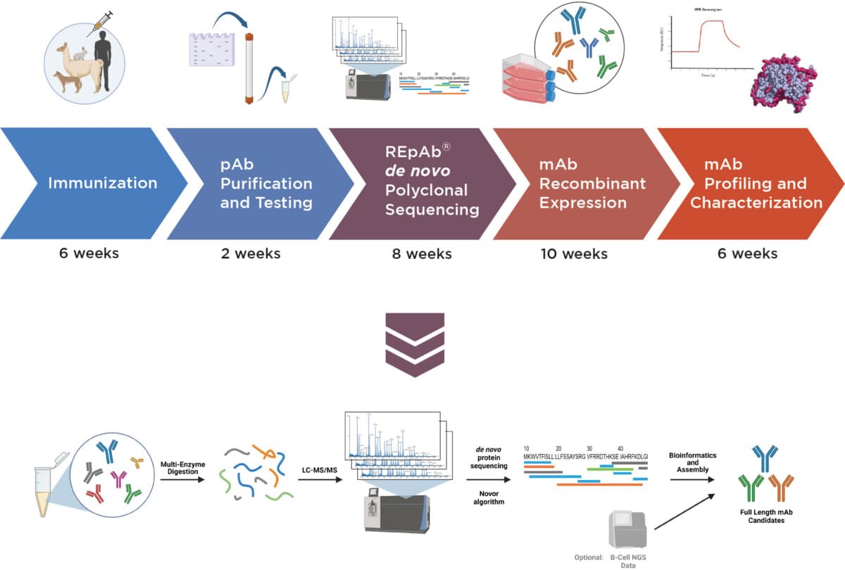 showcase of antibody generation platform to obtain high affinity antibodies even for most challenging targets