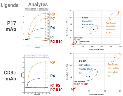 nanobody discovery showcase with in vivo antibody generation platform