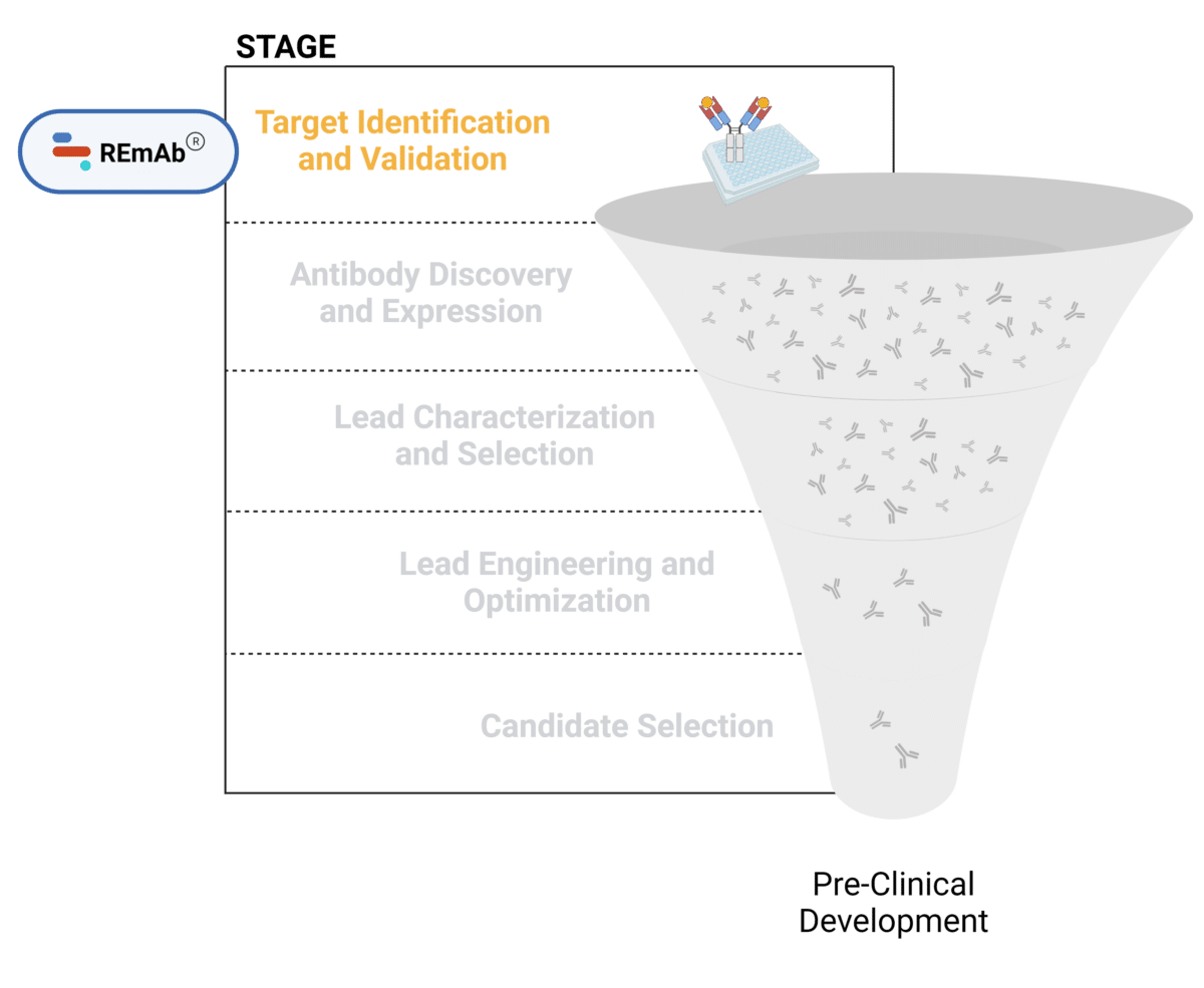 antibody-discovery-processes