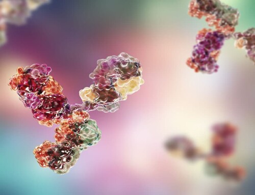 Antibody Drug Discovery and Development