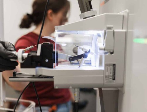 New Antibody Characterization Essentials from Discovery to Clinic