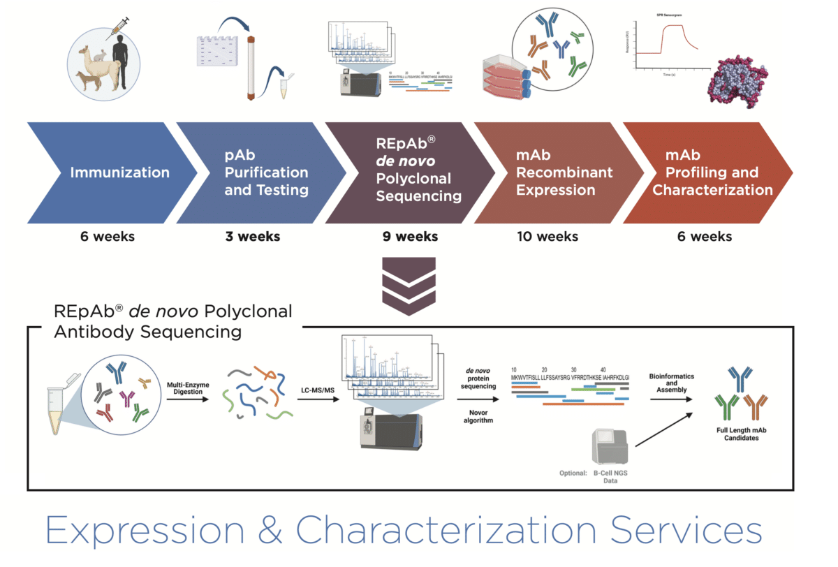 showcase of antibody generation platform to obtain high affinity antibodies even for most challenging targets