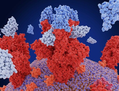 Nanobody Sequencing: Unlocking Therapeutic Potential
