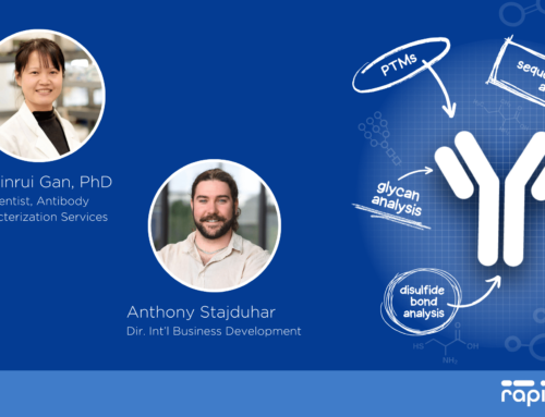 Ask Our Experts: Navigating Antibody Characterization through LC-MS