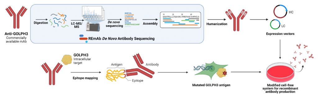 Cell-Free Methods of Producing Antibodies to Intracellular Targets