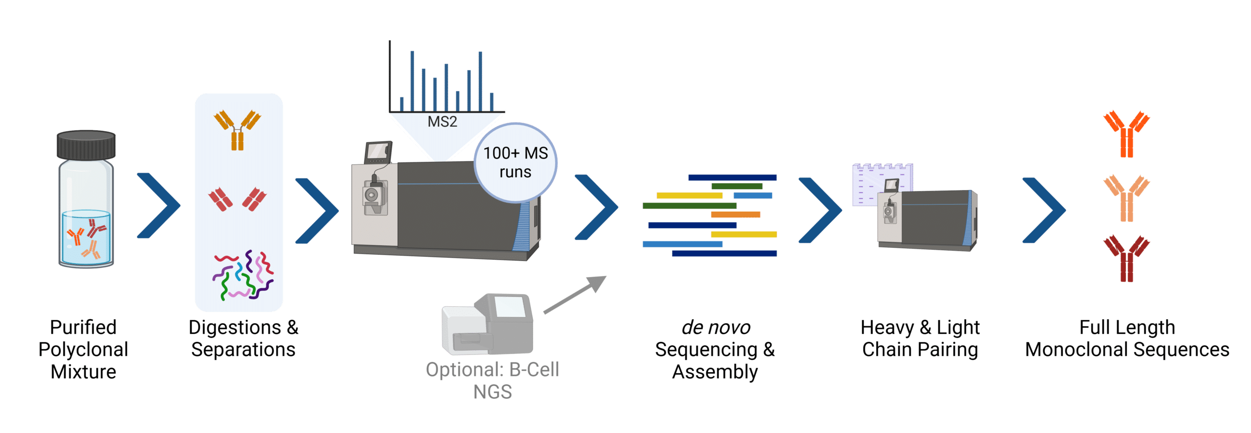 REpAb Sequencing larger test
