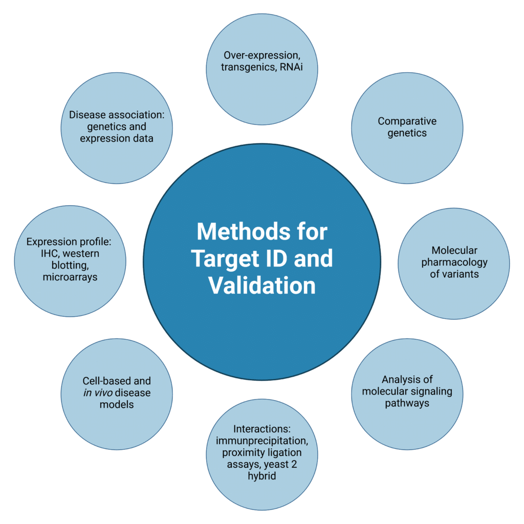 Antibody Tools for Target Identification and Validation