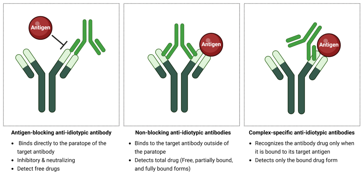 Figure 1. Types of anti-idiotypic antibody binders.