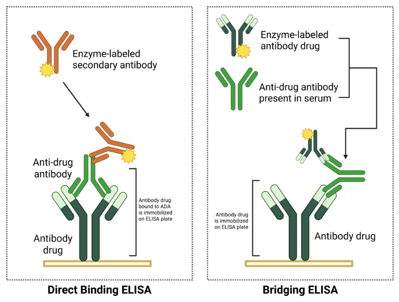 Figure 2. ELISA formats for ADA assays.