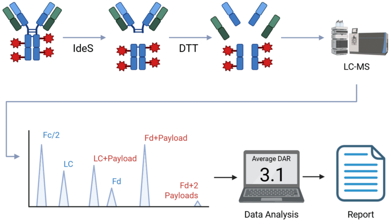 DAR-analysis-subunit DAR Analysis by Subunit