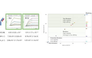 Figure 1. Kinetic analysis of human-derived mAbs from the plasma of a SARS-CoV-2-vaccinated patient.