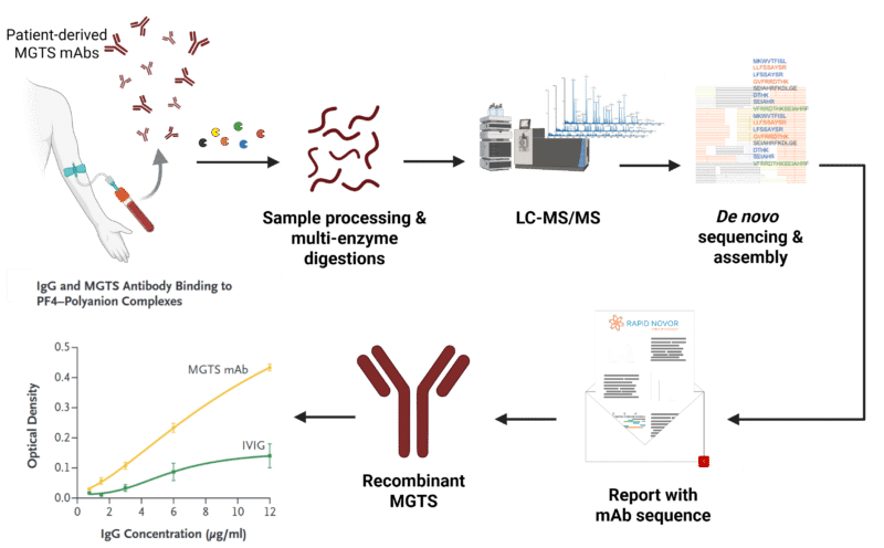 MGTS case study using REmAb antibody sequencing