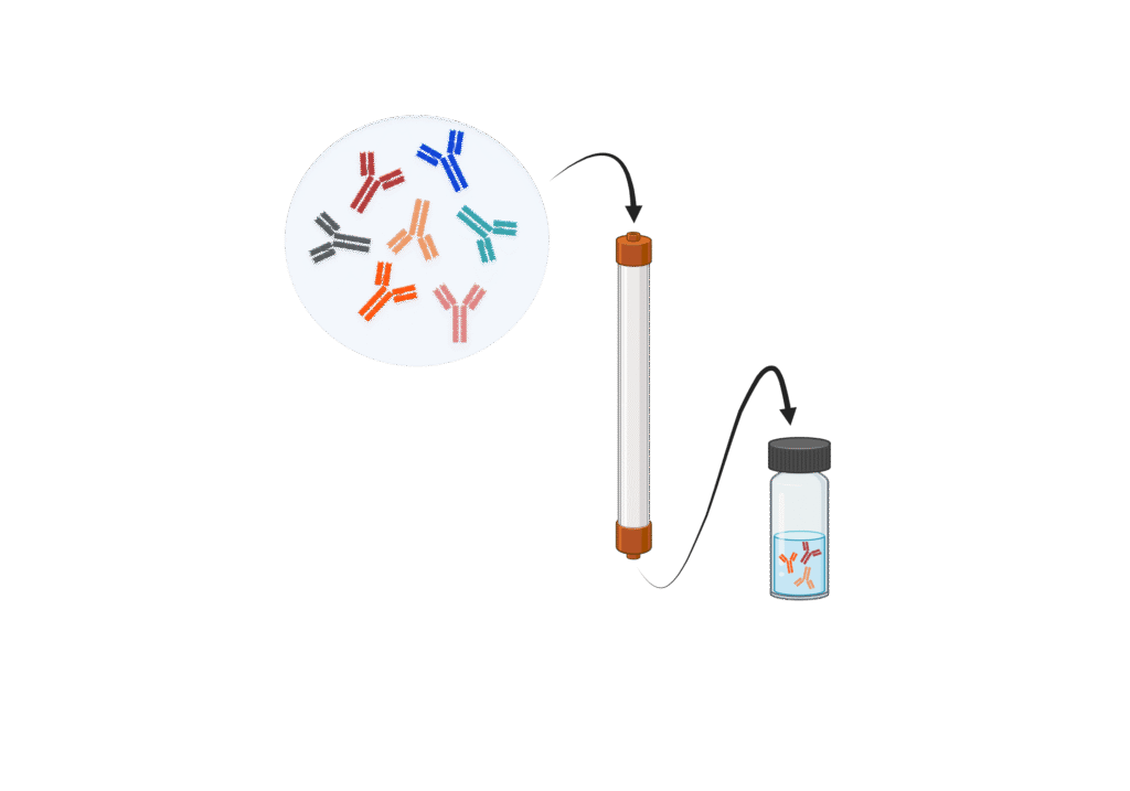 Antigen Purification