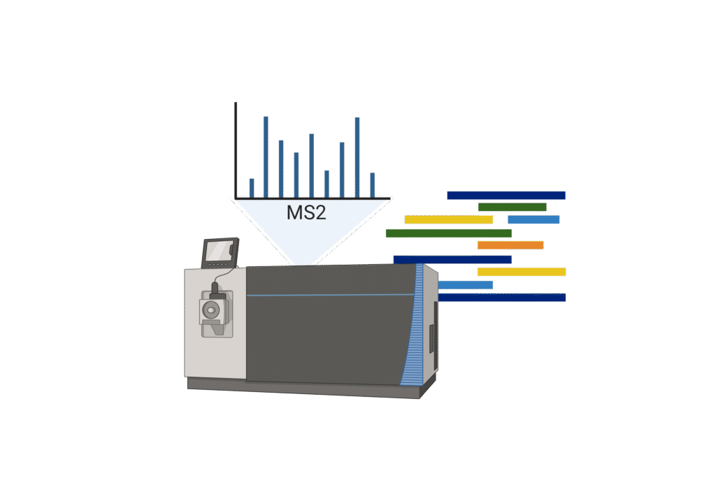 12 – Untitled slide