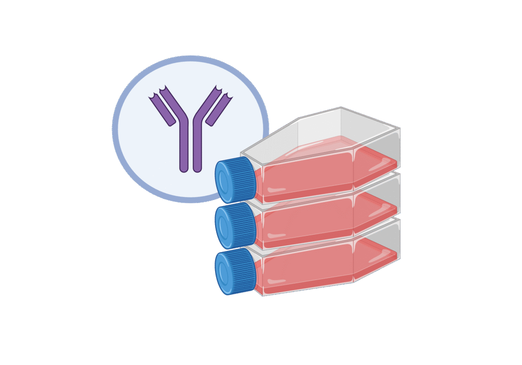 14 – Untitled slide