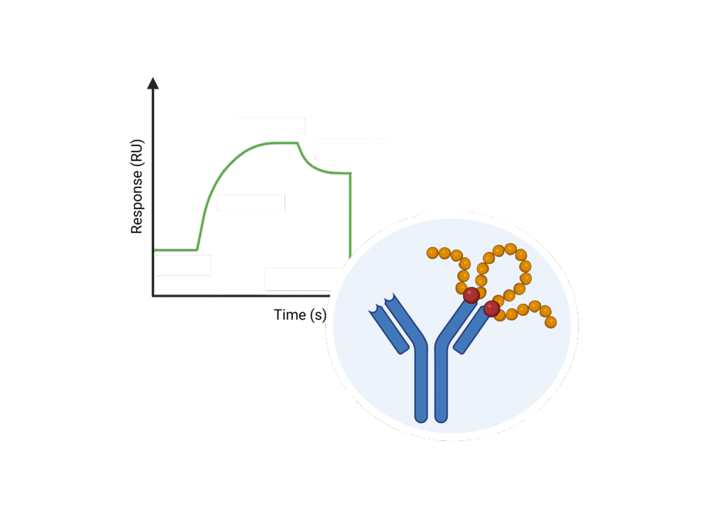 16 – Untitled slide