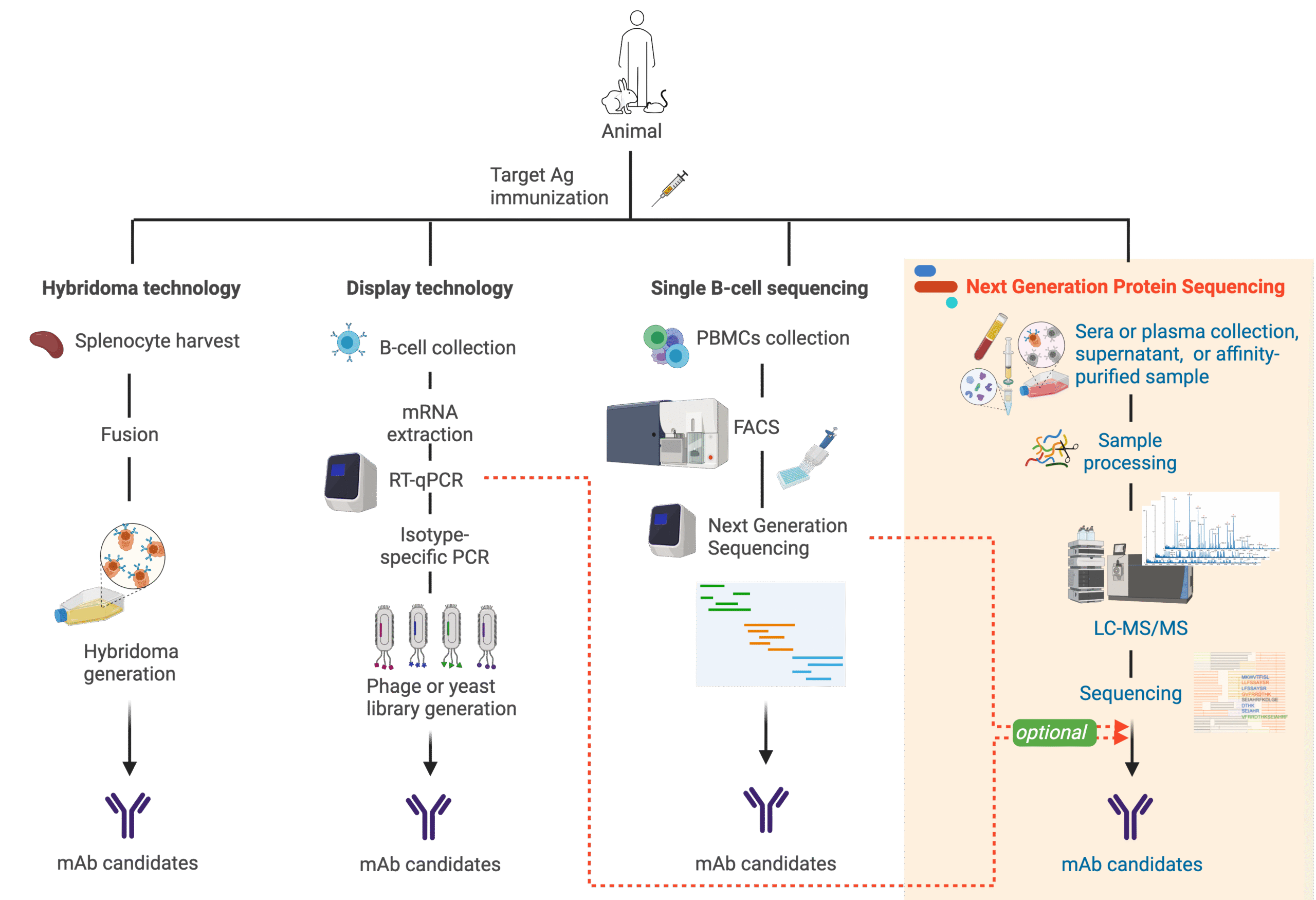 Ab Discovery Methods
