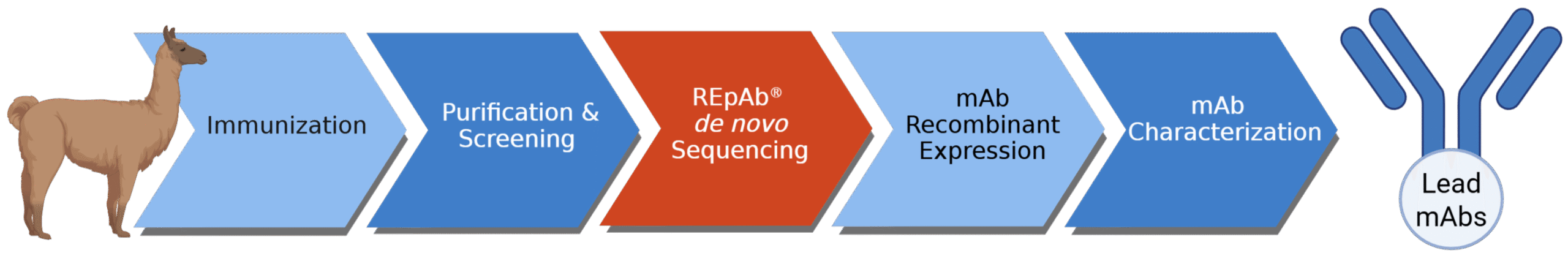 ae965df4-33e5-4f59-8340-f8e67f582f5c